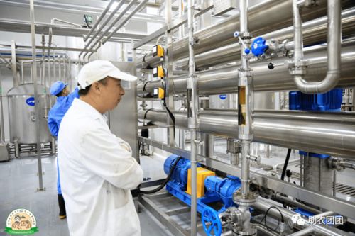 助農(nóng)團(tuán)團(tuán)丨刺梨產(chǎn)業(yè)巡禮① 刺梨原榨果汁,天然原味,你敢來喝嗎